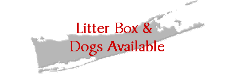 Litter Box &
Dogs Available