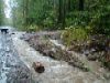 Linda Blicker: Siebert Drive Oct 2005