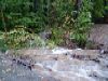 Linda Blicker: Siebert Drive Oct 2005