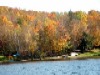 Gary Frosch: Foliage on Northeast Cove