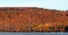Gary Frosch: Foliage on Northeast Cove