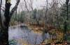 Jan Woerheide: Oct 2005 Flooding