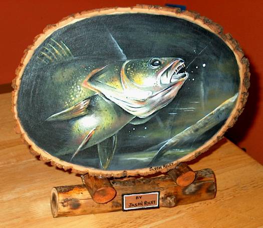 Walleye After the Bite, Image is 14"