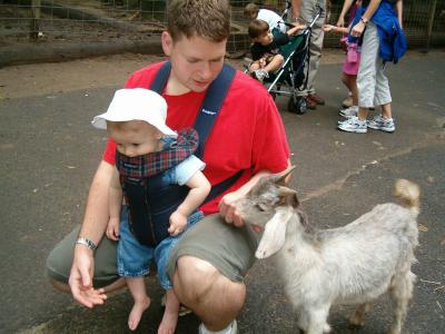 I fear this goat will eat me!