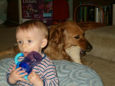 That bone looks tasty -- can we trade?