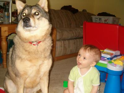 What a pretty doggie!