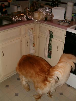 Mmmm....floor cake