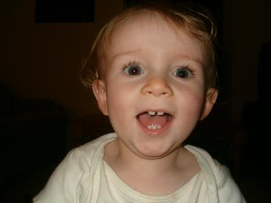 JOSH EAT CAMERA!!!