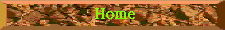 WB01636_.gif (1561 bytes)