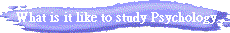WB01153_.GIF (2188 bytes)