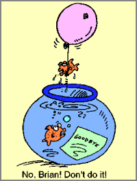 fish suicide