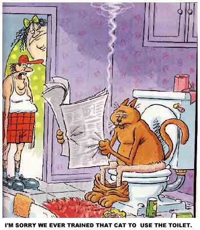 Damn Cat