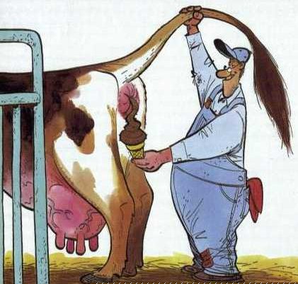 mooo