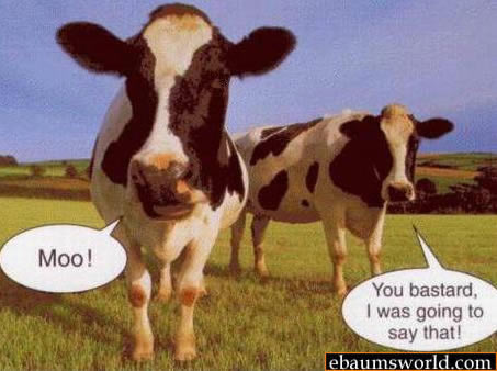 Well i thought it was funny...