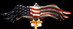 Support our troops!