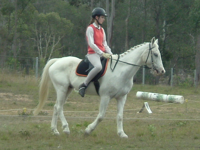 Club Dressage Day 2005