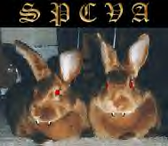 Society for the Prevention of Cruelty to Vampire Animals