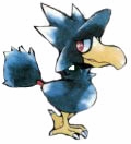 /user/bird.jpg
