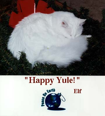 Aspen on Yule Card&nbsp;&nbsp; >(^..^)<