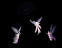 click here to see pictures of faeries