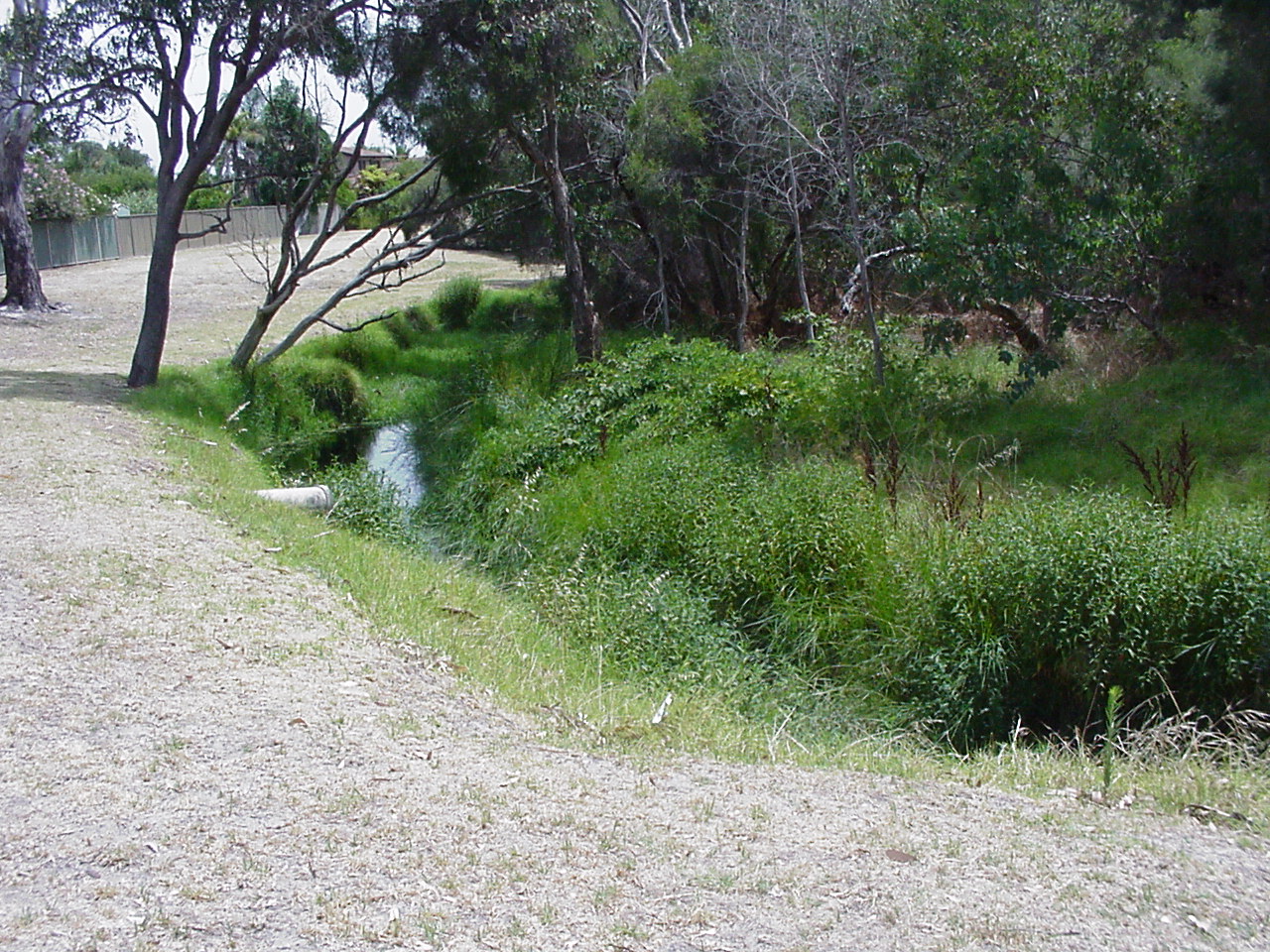 bank surrounds is dry