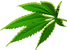 Ein weiterer Link mit vielen n�tzlichen Infos