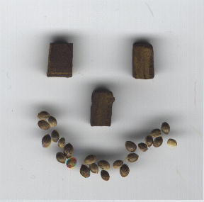 Happy Life!