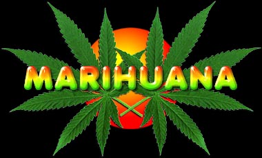 Eine weitere coole Site f�r Hanffreunde