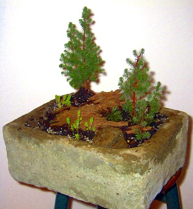 Pre Packaged Trough Gardens