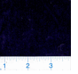 Navy Velveteen