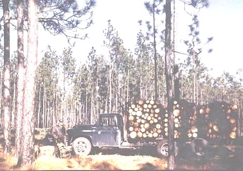 Grandpa's pulpwood truck