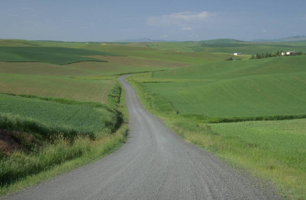 lroad2.JPG