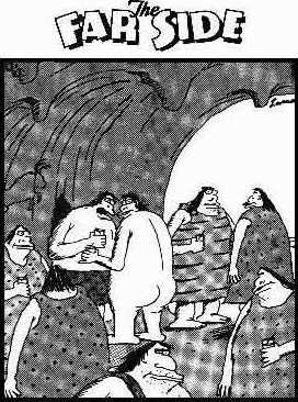 The Far Side - "No one's naked any more."
