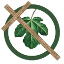 Fig Leaf Forum