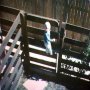 Me climbing the fence