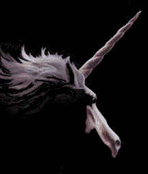 The Beast