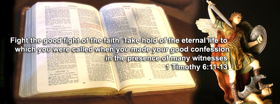 1 Timothy 6:11