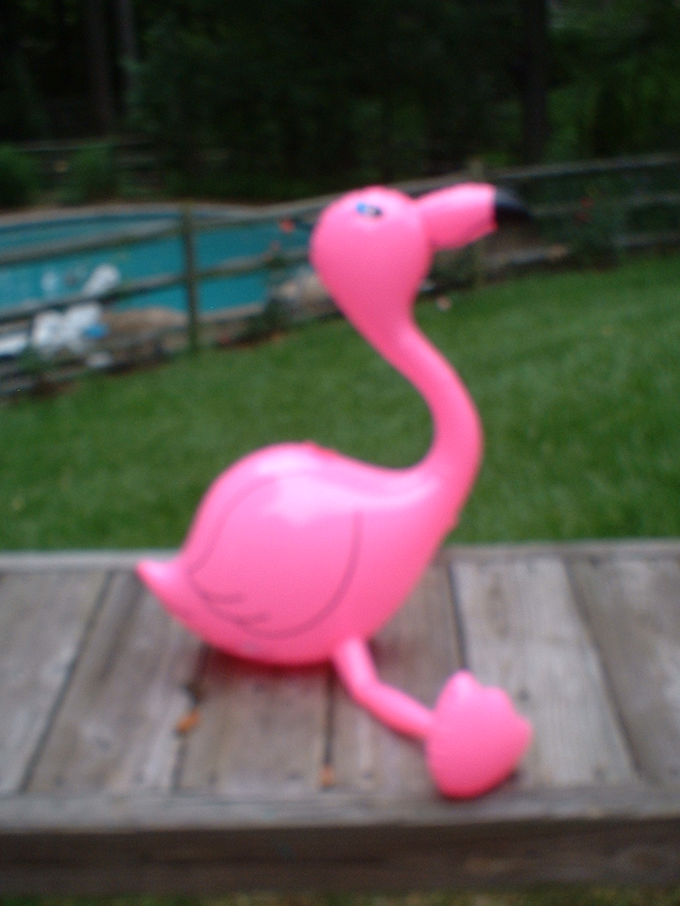 Herbert!!!