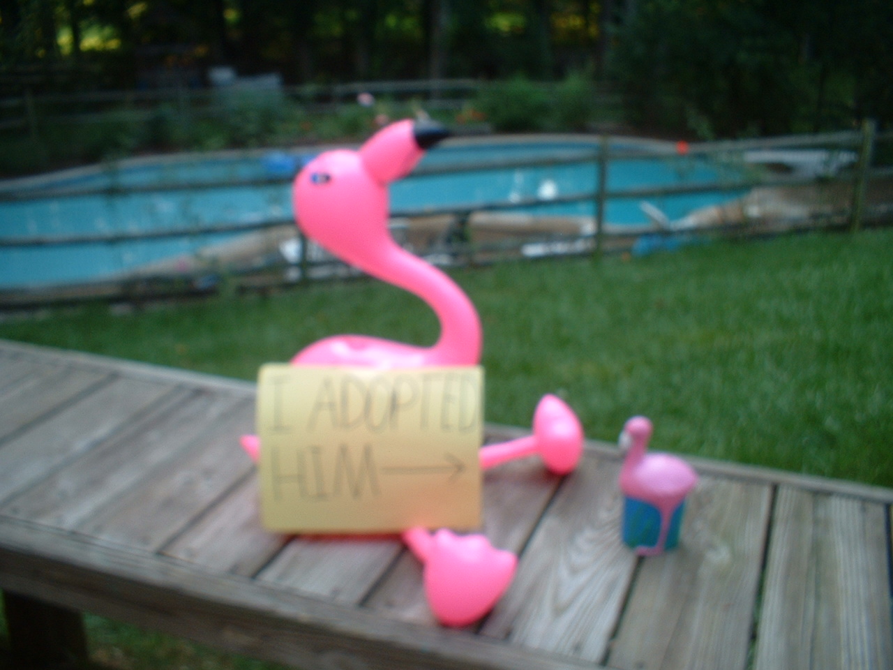 Elbert is so much cooler than Sherbert