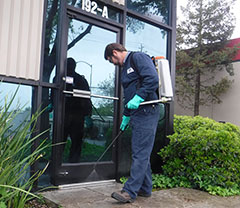 A commercial inspector