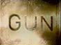 Gun Cover