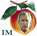 DON'T FORGET TO IMPEACH BUSH...do it for the good of the nation