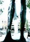 Desnudos