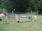 The Garden