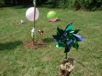 Pinwheel