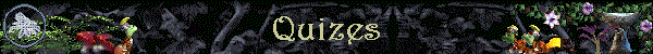 Quizes