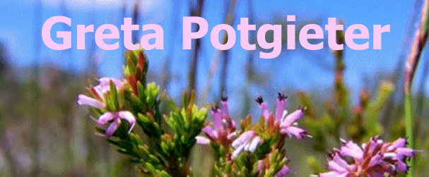 Greta Potgieter