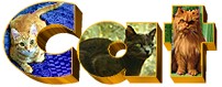 A different cat featured every day!