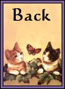 Back to meet the other Kitties...