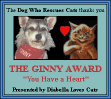 Ginny has a knack for helping save cats!